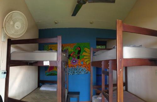 Puerto Soley Hôtel | Blue Dream Kite Boarding Resort Costa Rica
