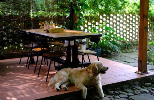 Cat Hai Hôtel | Blue Lagoon Cat Ba