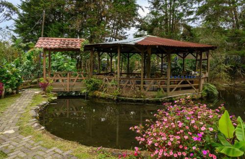 Bajos del Toro Cabine | Blue Morpho Lodge