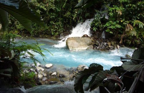 Guayabo Hôtel | Blue River Resort & Hot Springs