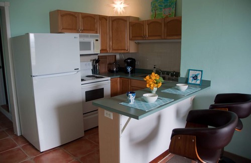 Estate Western Water Island Appartement | Blue Vista Too: Apt. Oceanfront, emplacement central. Voiturette de golf incluse!