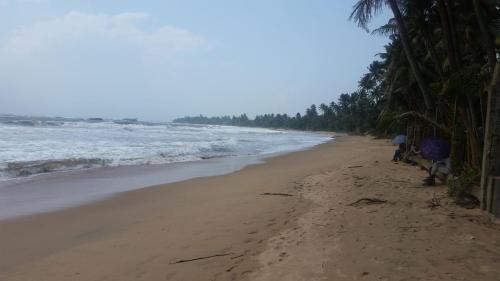 Matara Maison | Blue Waters