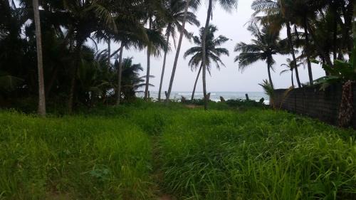 Matara Maison | Blue Waters