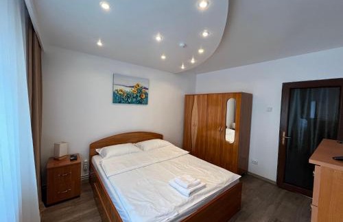 Orastie Appartement | BlueBee Apartment