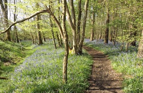 Brackley Appartement | Bluebell Cottage at The Old Tractor Barn