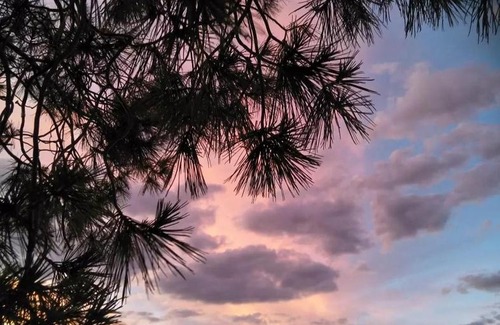 Wirreanda Maison | Bluebush Shed @ Cradock