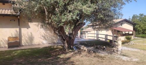 Drapia Appartement | Bluiaia case vacanze tropea