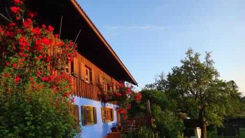Schwanden Appartement | Blumenoase Allgäu