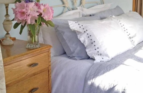 Akaroa Hôtel | Blythcliffe