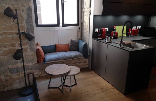 6th Arrondissement Appartement | bnbgônes - LE LOFT BODIN - CROIX ROUSSE - CENTRE VILLE - METRO