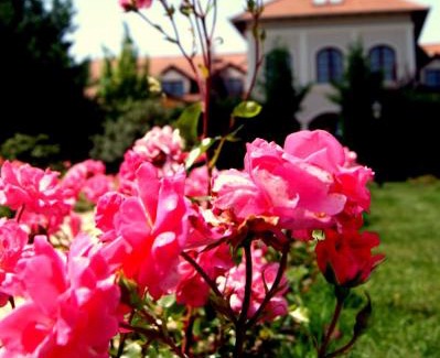 Inarcs Hôtel | Bodrogi Kúria Wellness Hotel