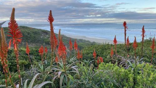 Boggoms Bay Maison | Boggoms' View