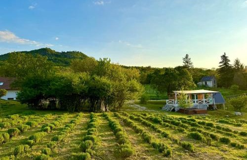 Kisapati Appartement | Bohemian ECO lodge