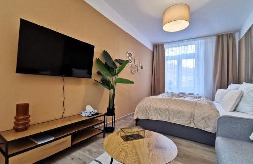 Andreasvorstadt Appartement | BohnApartments Junior SUITE Blume 14 - Nähe Dom - WLAN