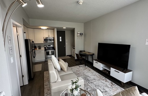Downtown Des Moines Appartement | Boho Box- DT DSM Skyline view