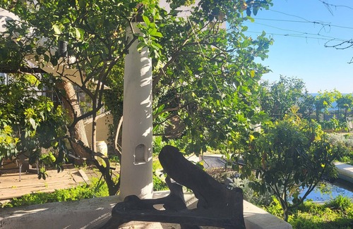 Posillipo Appartement | Bonbon of Posillipo in Naples