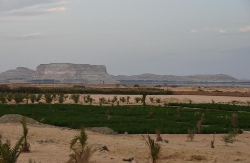 Siwa Lit Et Petit-Déjeuner | Bondok Camp Siwa
