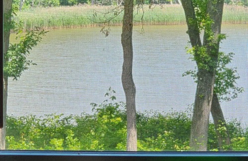 North East Maison | Feu de joie par le ruisseau!