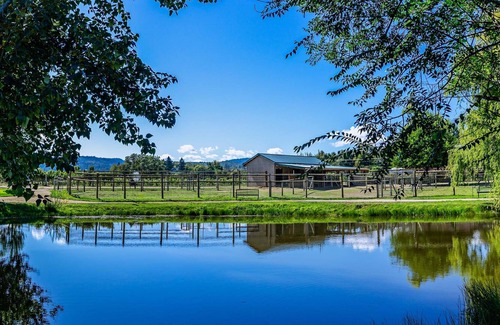 Medford Maison | Maison Rellik. Domaine viticole et alpaga