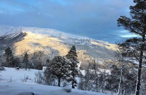 Voss Appartement | Bordalen-Voss
