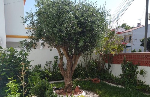 Vila Nova de Santo Andre Villa | Borea Yellow Villa, Santo André, Santiago do Cacém