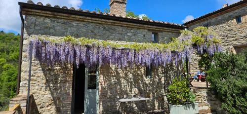 Montone Lit Et Petit-Déjeuner | Borgo Cardaneto