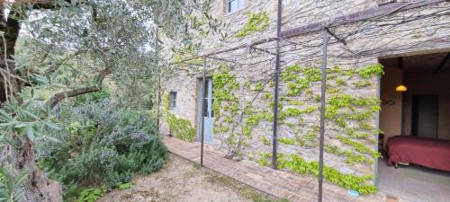 Montone Lit Et Petit-Déjeuner | Borgo Cardaneto