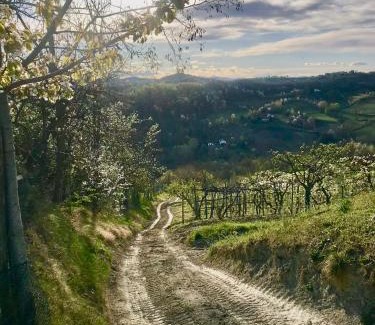 Cremolino Appartement | Borgo Francia