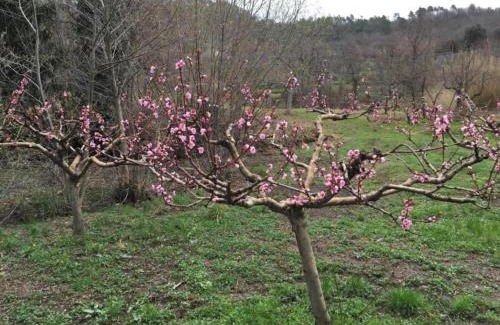 Deiva Marina Appartement | Borgo San Pietro - Deiva Marina
