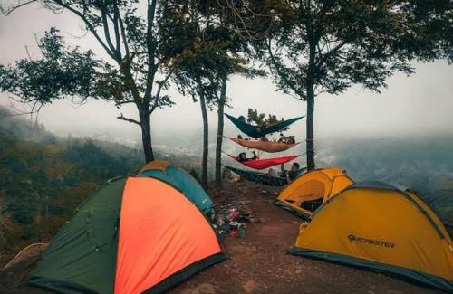 Samarinda Autre | Borneo camp