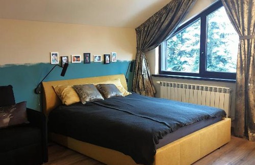 Borovets Appartement | Borovets Forest view (A56)