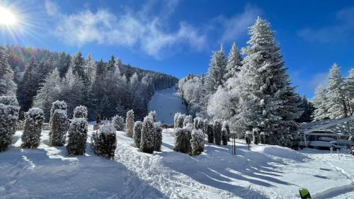 Samokov Appartement | Borovets Hills Boro Boro Studio 35m2