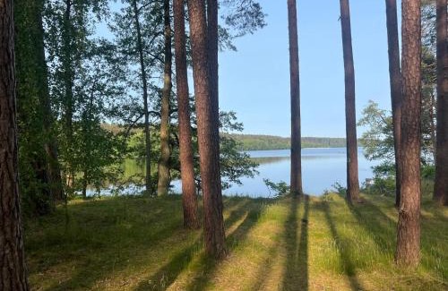 Brusy Autre | Borowy Glamp więcej niż domki