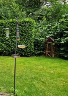 Hattemerbroek Appartement | Boshuis de Roerdomp