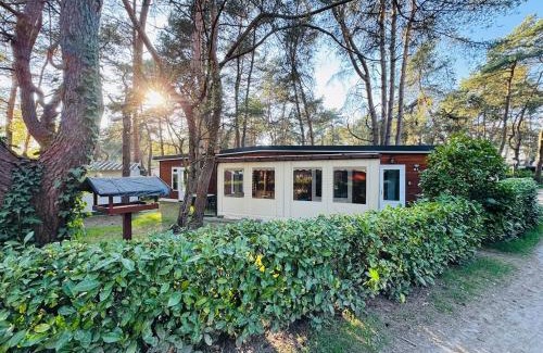 Balen Chalet De Ski | Boshuisje June - middenin de natuur op een uurtje rijden van Antwerpen en Maastricht