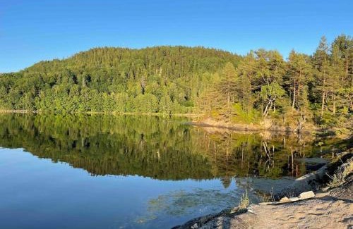 Risor Appartement | Bosvik Gård, nyrenovert leilighet i hovedhus fra 1756