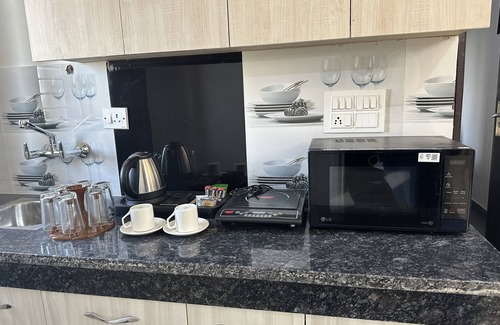 DLF Phase 5 Appartement | Botanical Oasis in the center of the City - Plum Tree Hotels