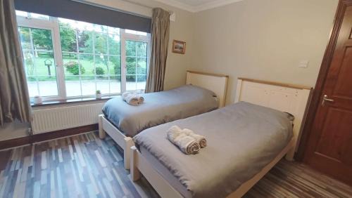 Ballyedmond Maison | Bottega Guesthouse and Gallery