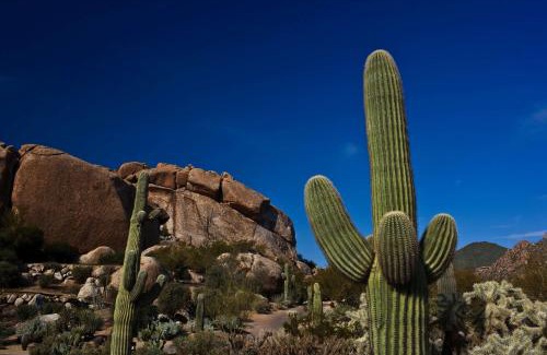 The Boulders Station Balnéaire | Boulders Resort & Spa Scottsdale, Curio Collection by Hilton