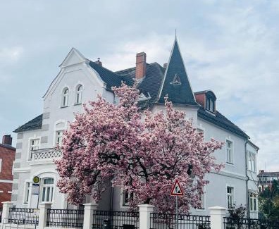 Torgau Appartement | Boutique Appartement