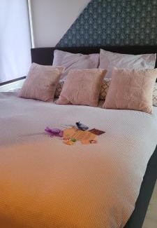Assendelft Lit Et Petit-Déjeuner | Boutique B&B Dolce Due