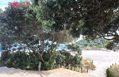 Mount Maunganui Maison | Boutique Central Mount Hébergement incluant KAYAKS à 5 minutes à pied de tout