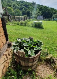 Elena Villa | Boutique guest house "SamiKan"