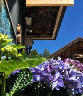 Morgins Hôtel | Boutique-Hôtel Chez Jan