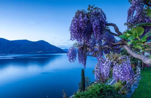 Porto Ronco Hôtel | Boutique Hotel La Rocca
