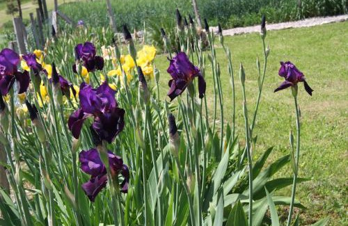 Savignac-sur-Leyze Appartement | Bouye Gite Accommodation