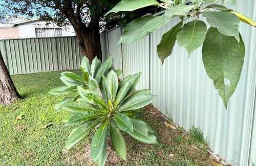 North Nowra Maison | Bowerbird Cottage
