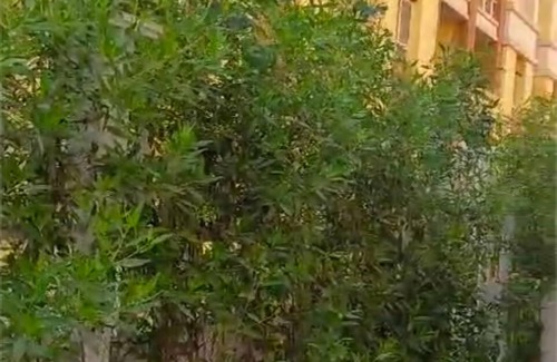 Al Duqqi Appartement | “Brand New Apartment – First Resident!” in Degla Palms-6October- Giza with WiFi