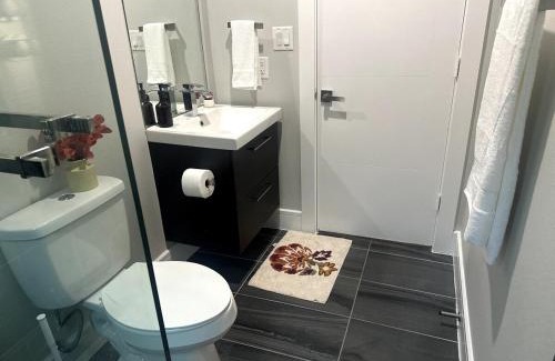 Old East Dallas Appartement | BRAND NEW COZY 1B1B Near Downtown Free Parking