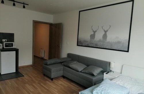 Palmovka Appartement | Brand new studio apartment #30 in brand new building FREE PARKING close to center